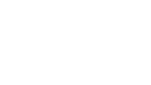 Formula 1